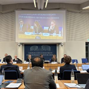 „Среща с неправителствени организации и адвокати“ – конференция на Европейския съд по правата на човека